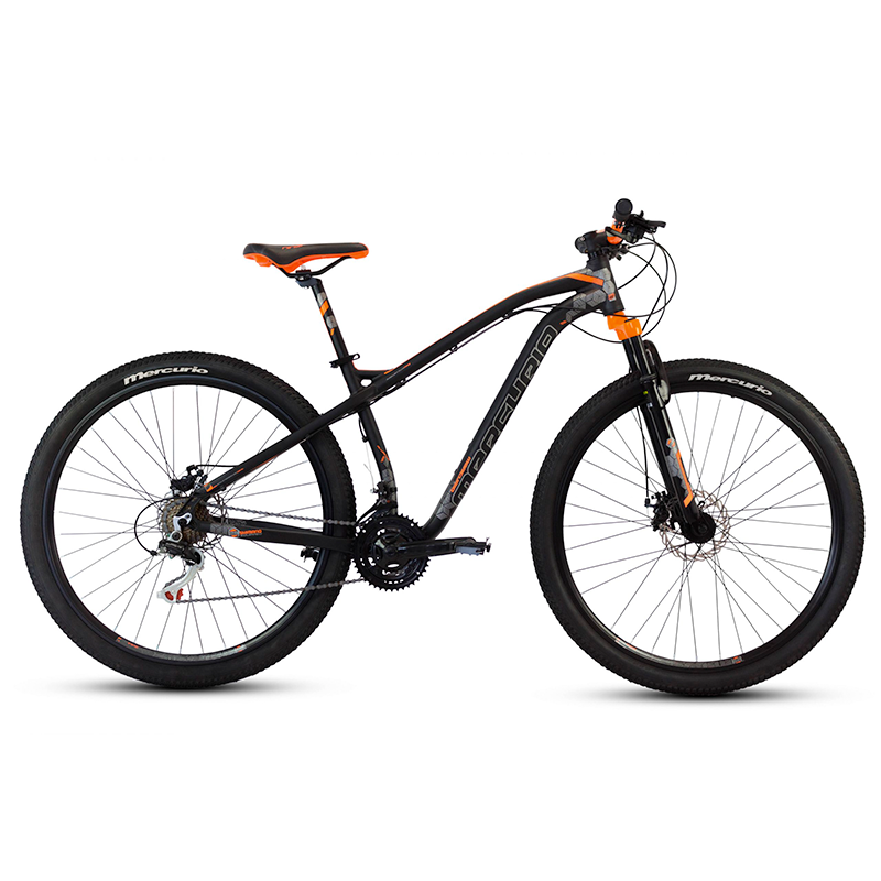 Bicicleta Mercurio MTB Ranger Pro 21V