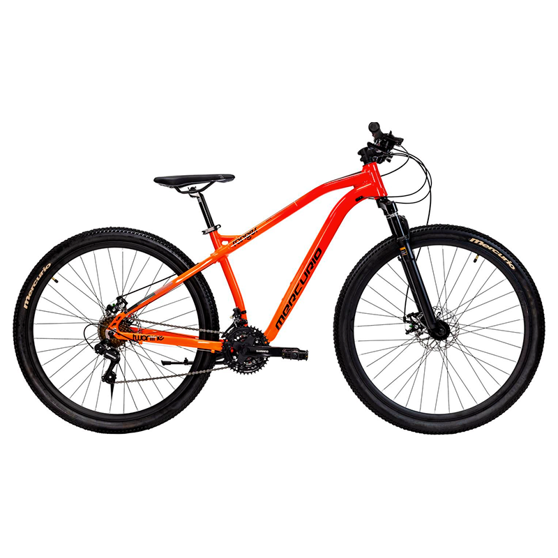 Bicicleta Mercurio MTB Ranger Team 24V