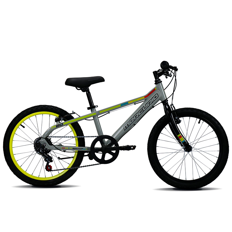 Bicicleta M20 6V 