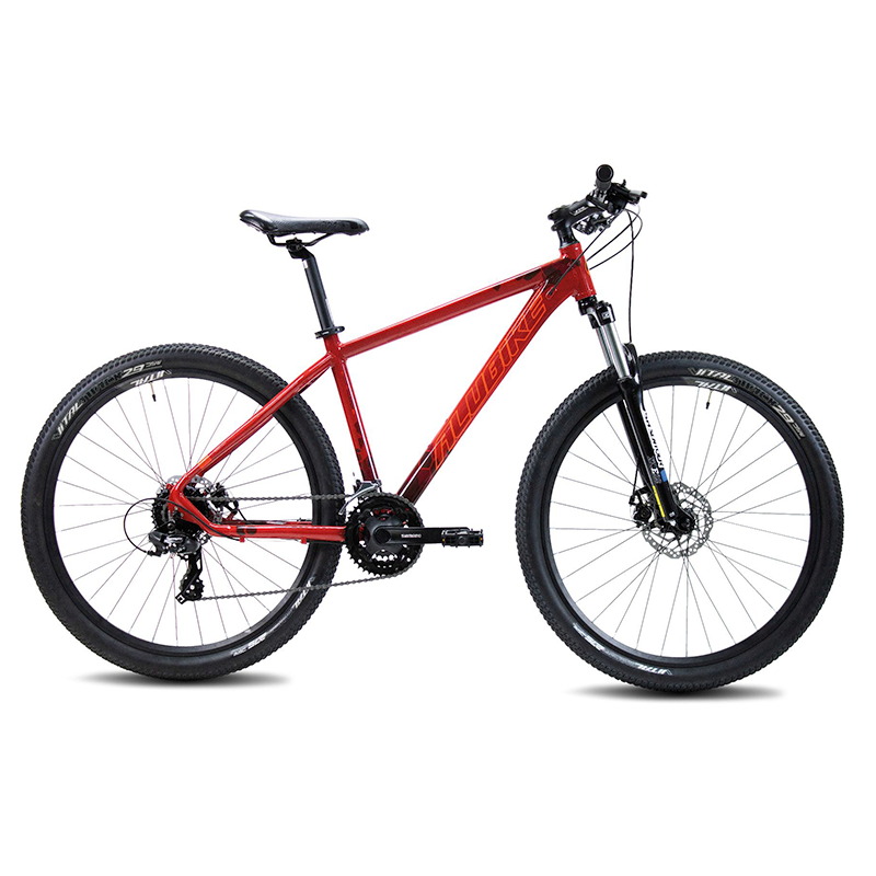 Bicicleta Sierra MTB Alubike R26