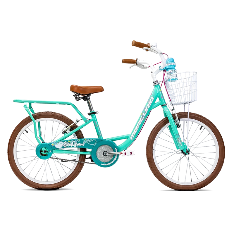 Bicicleta infantil Evergreen 20 1V