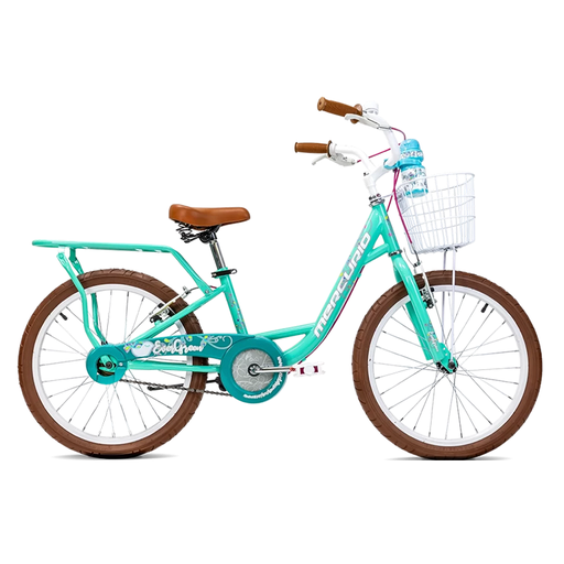 Bicicleta infantil Evergreen 20 1V